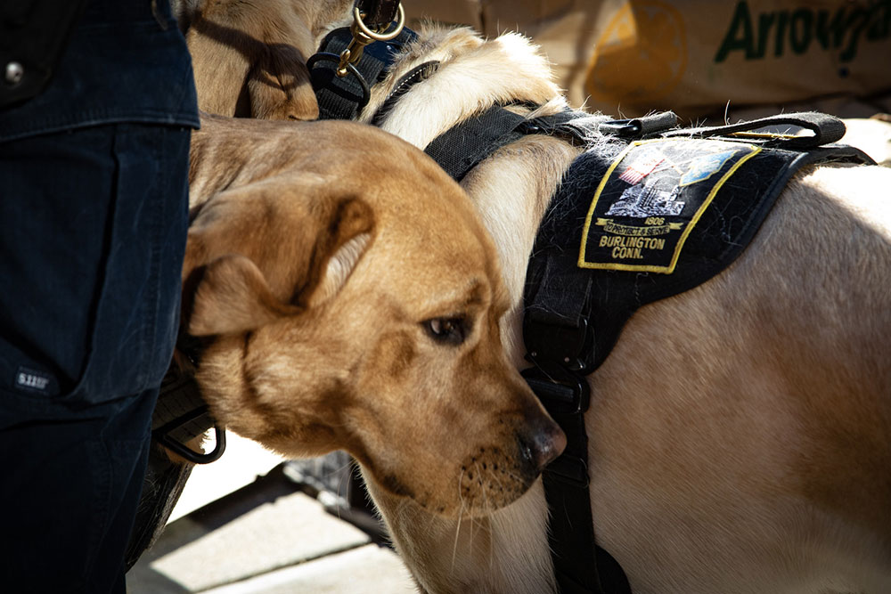 Police K-9 Program