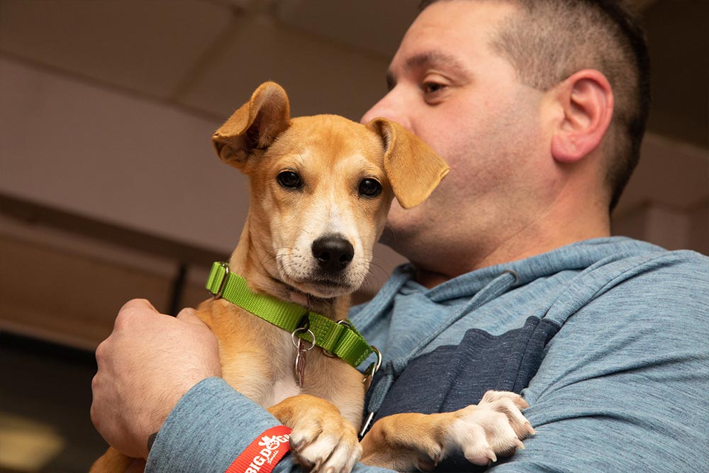 Bozzuto's Inc. Associates Christmas Pet Adoptions