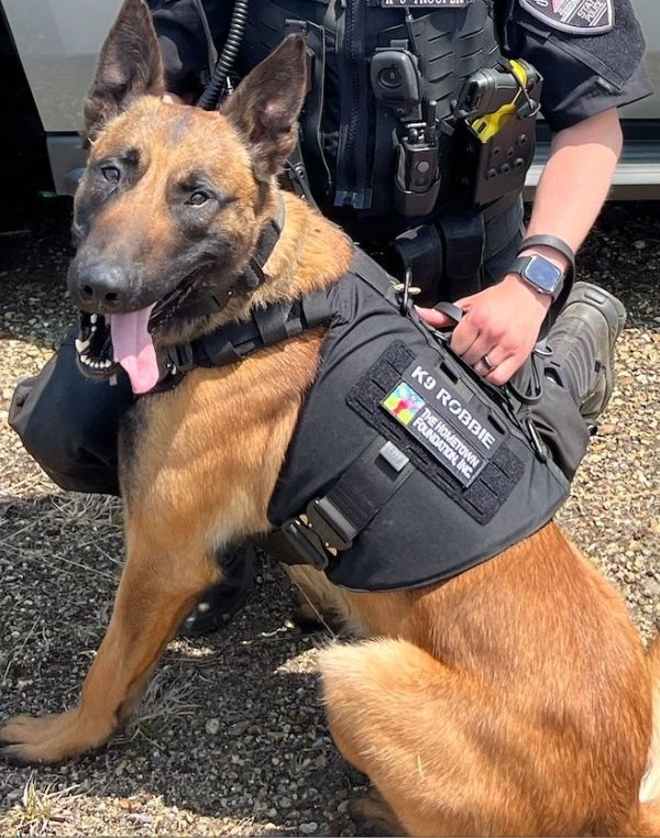 K-9 Robbie