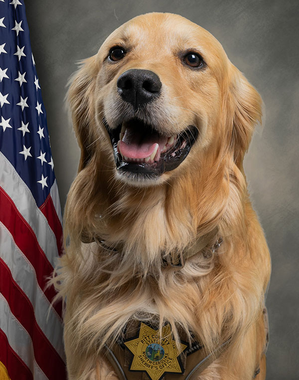 K-9 Barkley