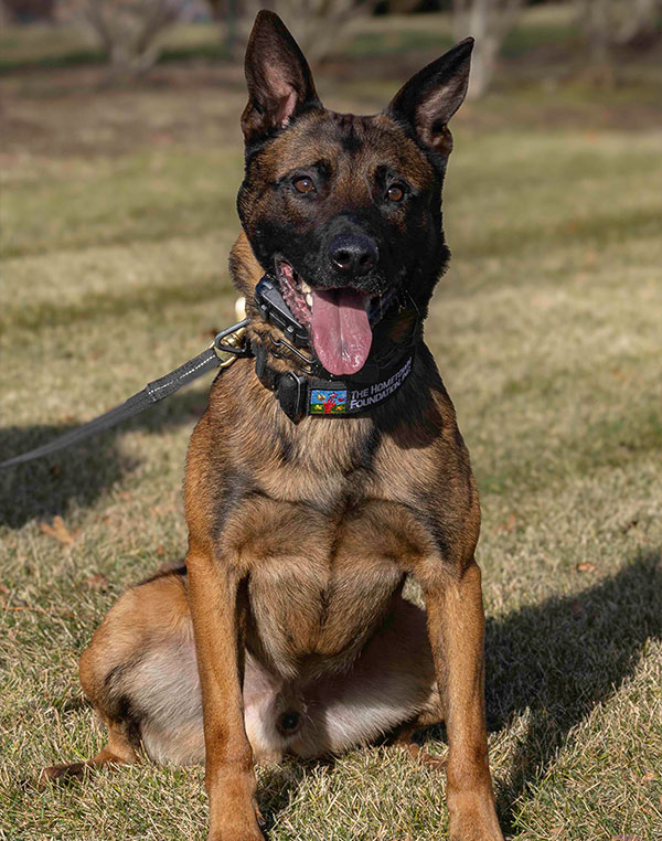 K-9 Sjors
