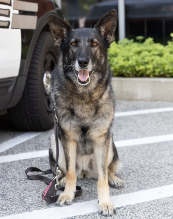 K-9 Urrsi