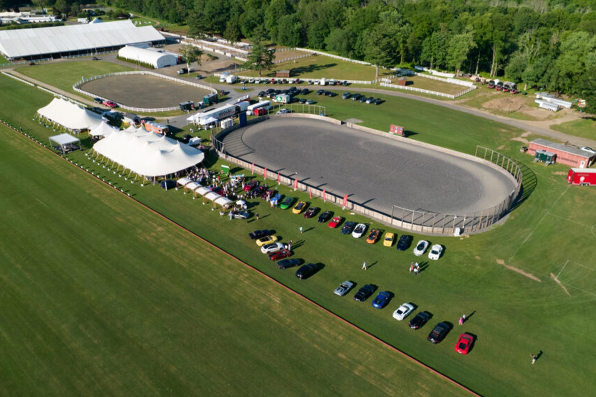 Birdies and Horsepower